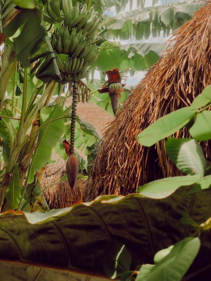 Hotel Aldea Che-Eek , Con Acceso A Un Club De Playa Privado Bacalar Esterno foto